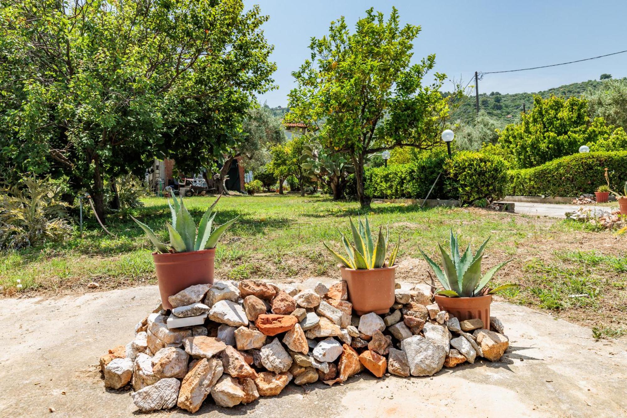 Panagou Studios Skopelos Exteriér fotografie